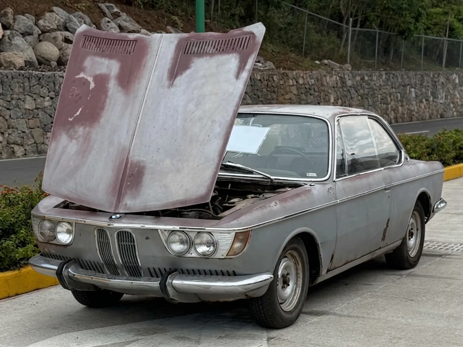 BMW 2000 CS con la pintura desgastada y el cofre abierto, antes de la restauración